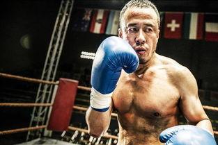 吃瓜娱乐拳击视频大全,吃瓜娱乐拳击视频大全精选集锦